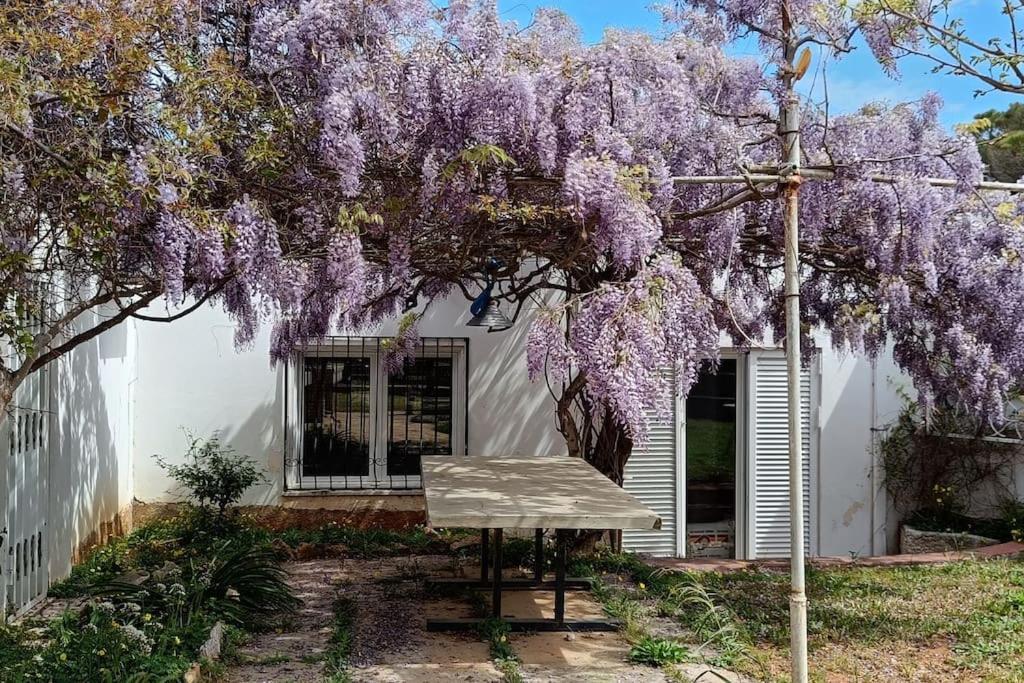Summer Villa In Pórto Ráfti 외부 사진